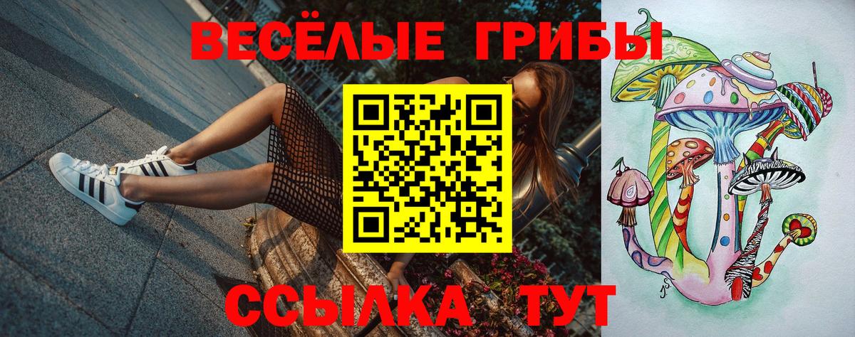 Галлюциногенные грибы мицелий Ростов Великий