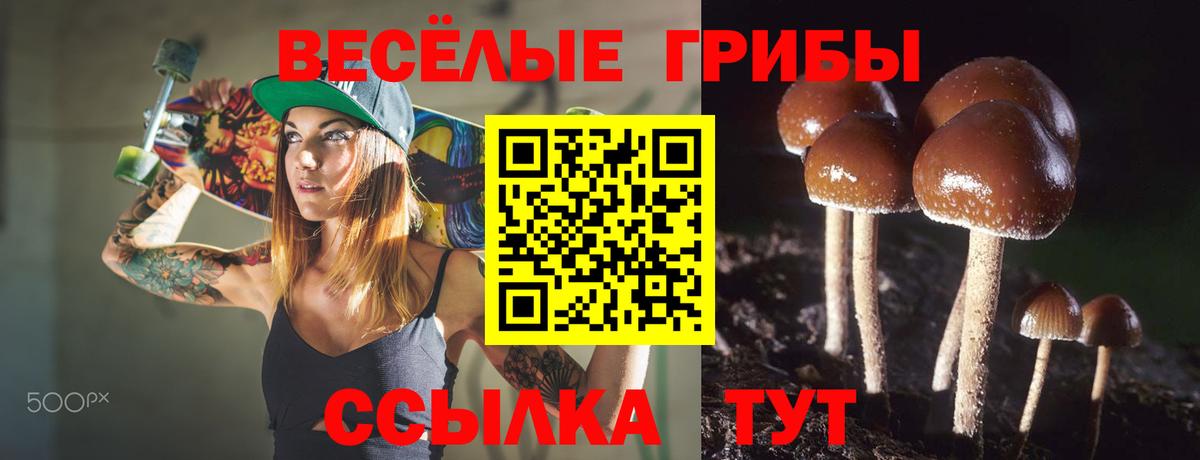 Галлюциногенные грибы прущие грибы  Вход с VPN  сколько стоит  Ростов Великий  Псилоцибиновые грибы ЛСД 